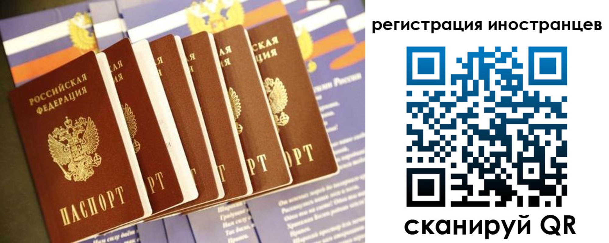 прописка в Шумихе